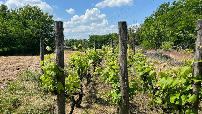 0. kép | Eladó Telek, Kecskemét (#178778)