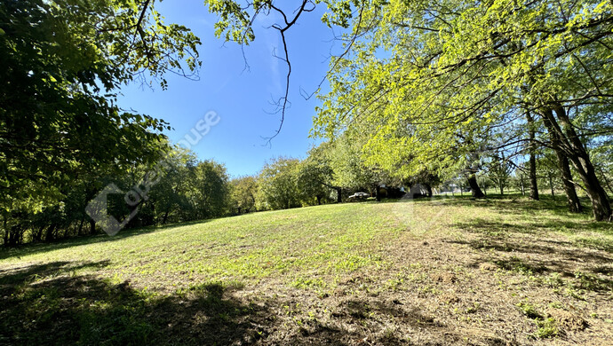 5. kép | Eladó Családi ház, Galambok (#177440)