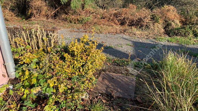 25. kép | Eladó Nyaraló, Homokkomárom (#178400)