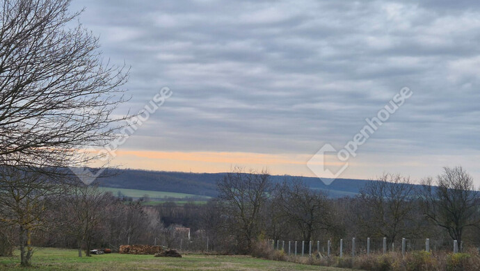 0. kép | Panoráma | Eladó Telek, Sülysáp (#178797)