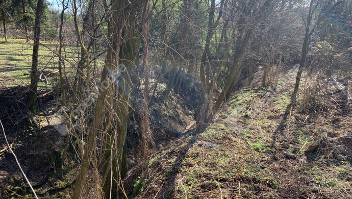 16. kép | Eladó Nyaraló, Homokkomárom (#179898)