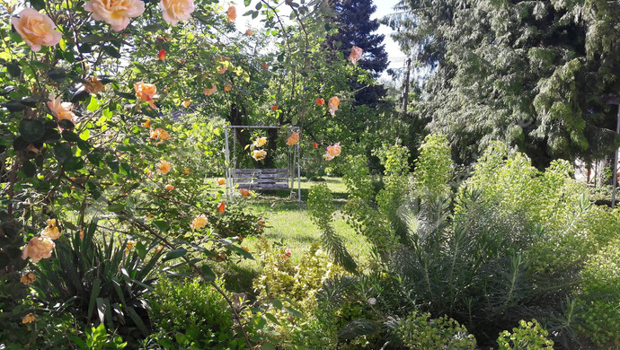 10. kép | Eladó Nyaraló, Fonyód (#176599)