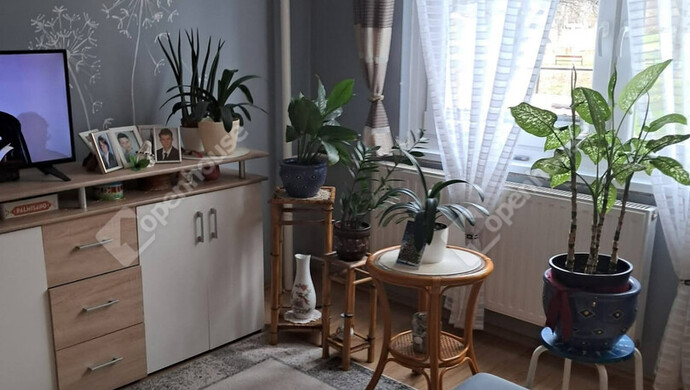 5. kép | Eladó Társasházi lakás, Miskolc (#179793)