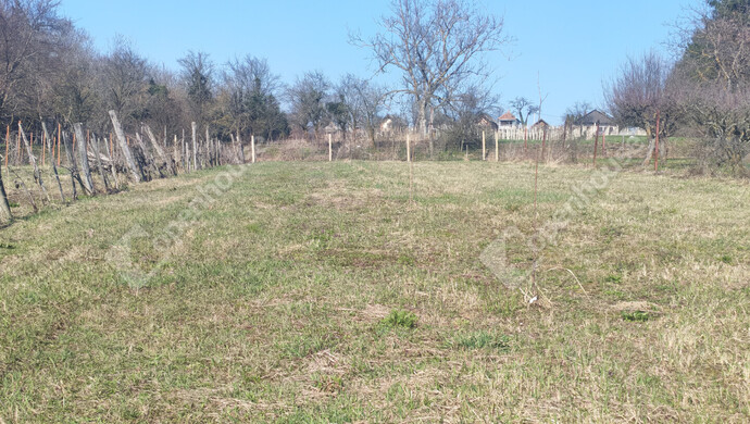 28. kép | Eladó Nyaraló, Becsehely (#180205)