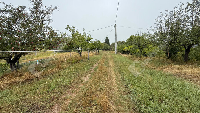 13. kép | Eladó Zárt kert, Nagykapornak (#176803)