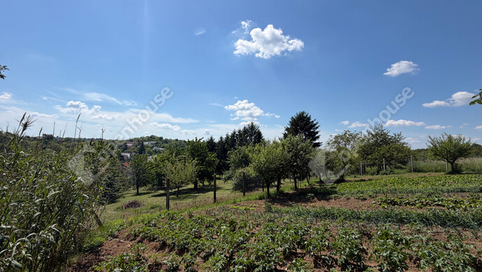 12. kép | Eladó Telek, Zalaegerszeg (#181945)