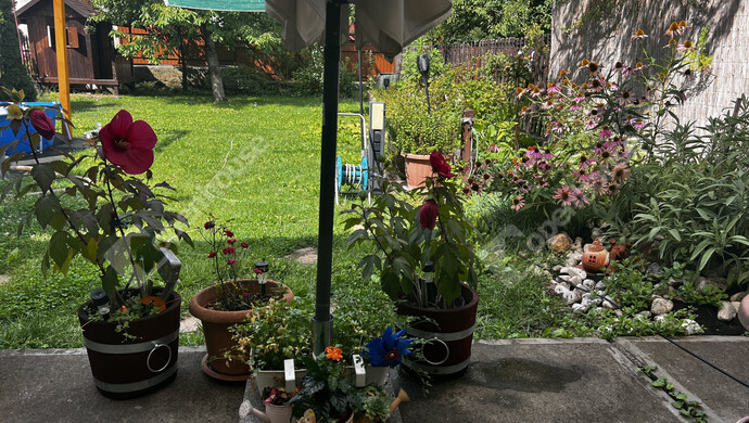 27. kép | Eladó Családi ház, Tiszaújváros (#179694)