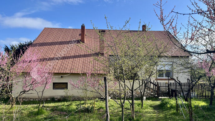 4. kép | Eladó Családi ház, Ugod (#176250)