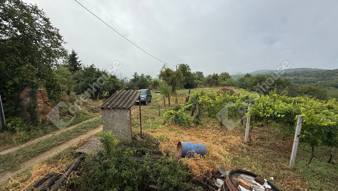 17. kép | Eladó Zárt kert, Nagykapornak (#176803)