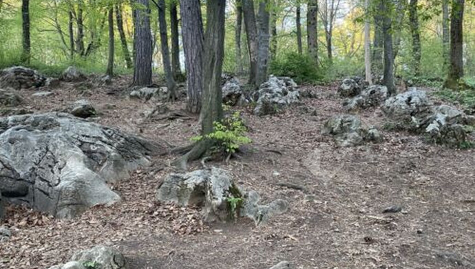 21. kép | Eladó Családi ház, Bükkszentkereszt (#179831)