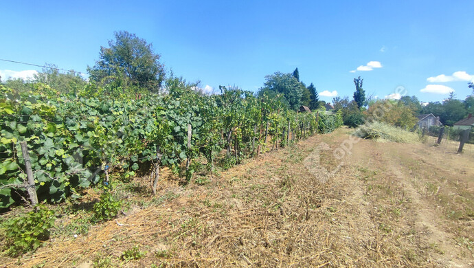 44. kép | Eladó Nyaraló, Szepetnek (#176202)