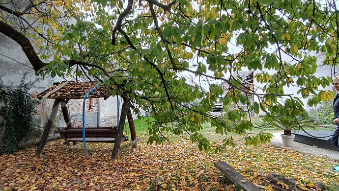 17. kép | Eladó Családi ház, Szepetnek (#178171)