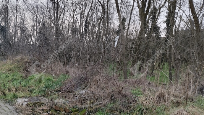 20. kép | Eladó Családi ház, Kenyeri (#179637)