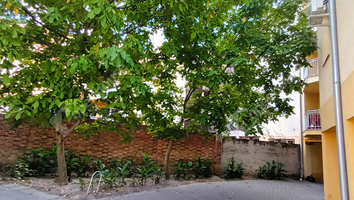 18. kép | Eladó Társasházi lakás, Szeged (#177311)