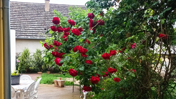 6. kép | Eladó Családi ház, Szólád (#177825)