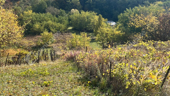 2. kép | Eladó Zárt kert, Pethőhenye (#178674)