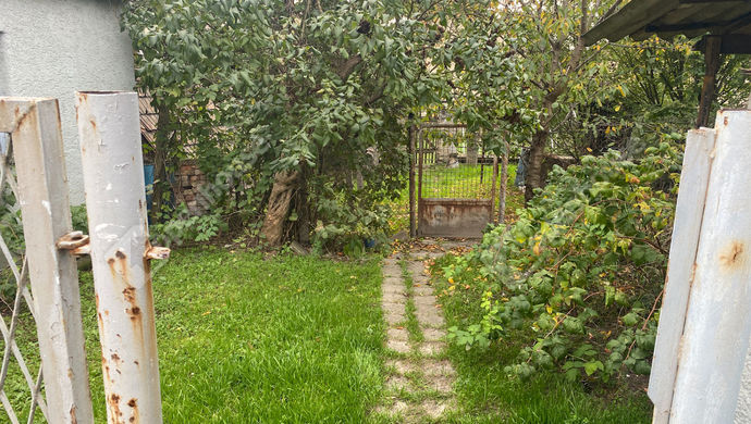 18. kép | A kert | Eladó Családi ház, Tatabánya (#159702)