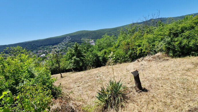 50. kép | Eladó Családi ház, Miskolc (#175697)