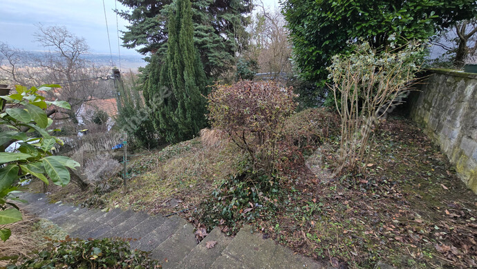 30. kép | Teraszos kert | Eladó Családi ház, Leányfalu (#179613)