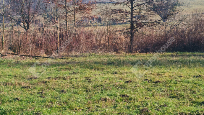 28. kép | Eladó Telek, Kiscsehi (#178890)