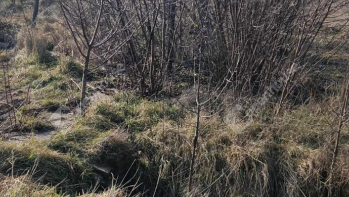 8. kép | Eladó Telek, Kunmadaras (#177042)