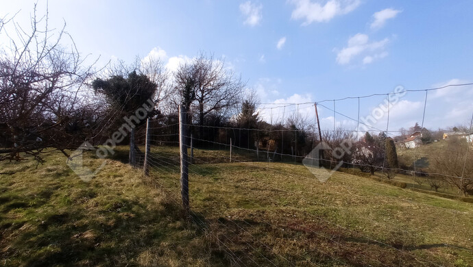 13. kép | Eladó Zárt kert, Zalaegerszeg (#180617)