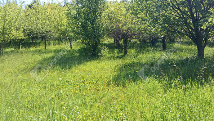 13. kép | Eladó Telek, Zalaegerszeg (#182102)