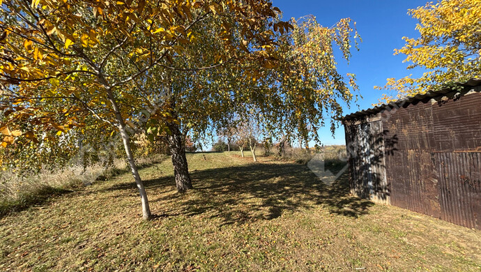 8. kép | Eladó Zárt kert, Pethőhenye (#178124)