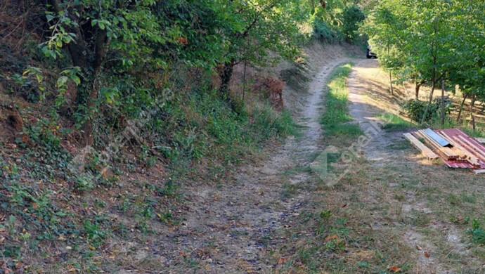 5. kép | Út | Eladó Zárt kert, Zalaegerszeg (#176917)