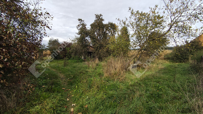 13. kép | Eladó Családi ház, Kányavár (#178117)