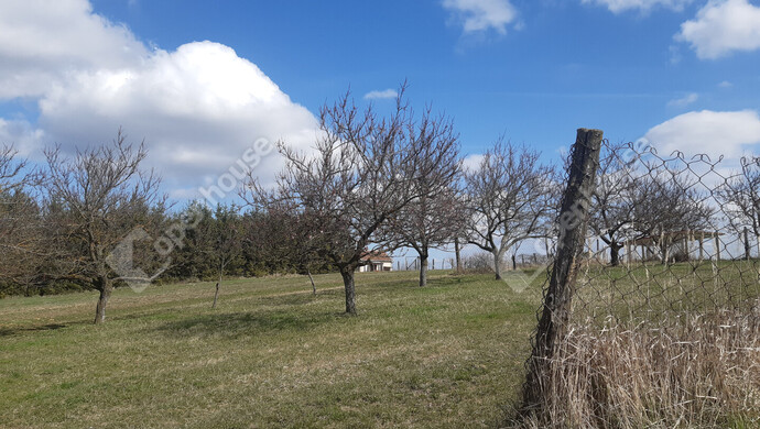 24. kép | Eladó Zárt kert, Sand (#180348)