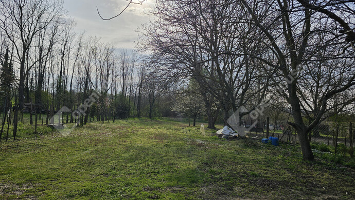 17. kép | Eladó Családi ház, Szőlősgyörök (#179158)