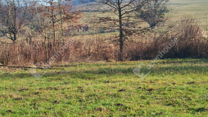 27. kép | Eladó Telek, Kiscsehi (#178890)