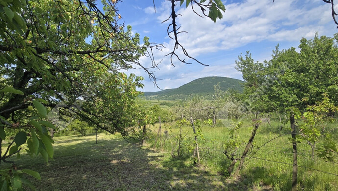 11. kép | Eladó Nyaraló, Eger (#183258)