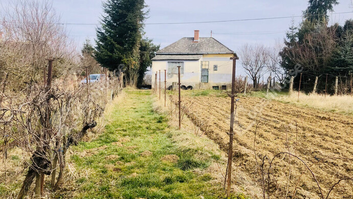13. kép | Eladó Nyaraló, Nagykanizsa (#175740)
