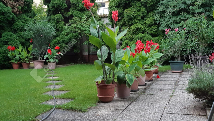 18. kép | Eladó Családi ház, Miskolc (#176212)