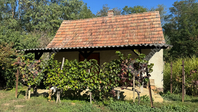 4. kép | Eladó Zárt kert, Miháld (#184303)