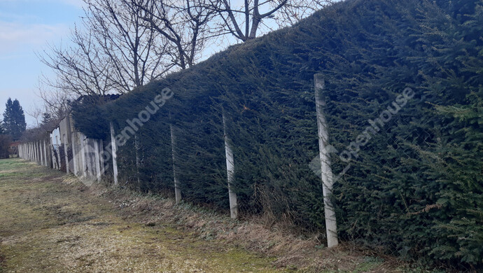 62. kép | Eladó Családi ház, Nagykanizsa (#179690)