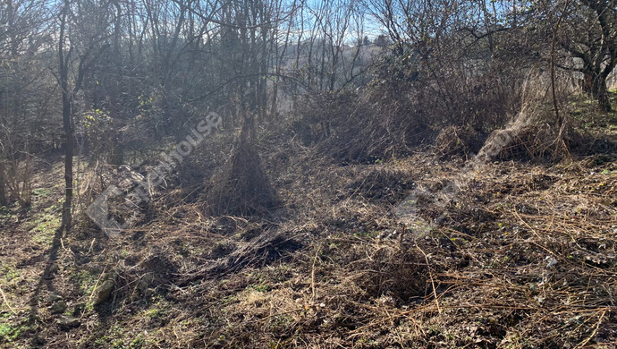 19. kép | Eladó Nyaraló, Homokkomárom (#179898)