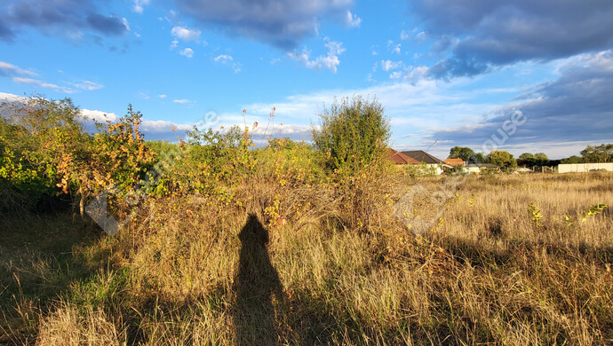 19. kép | Eladó Családi ház, Csévharaszt (#177560)