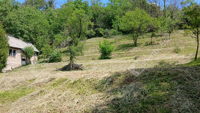 1. kép | Eladó Telek, Zalaegerszeg (#182105)