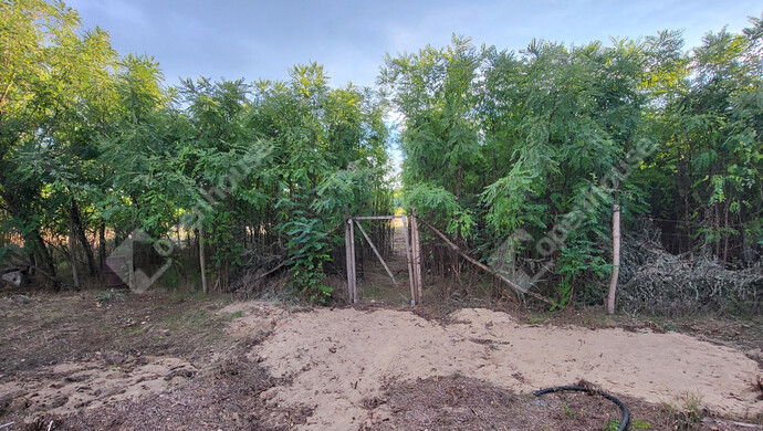 14. kép | Eladó Családi ház, Csévharaszt (#177560)