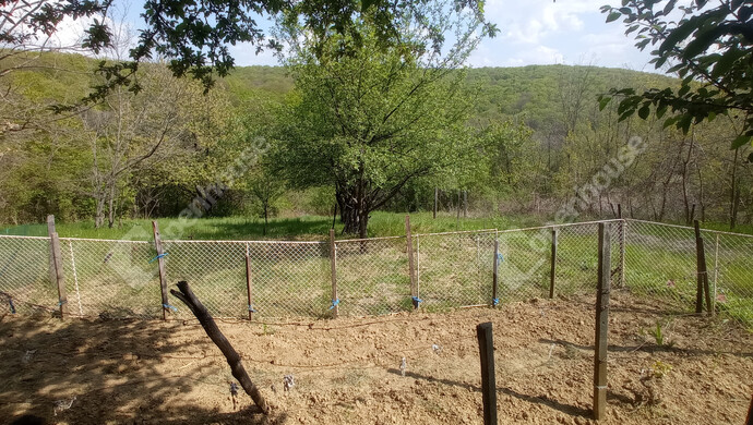 14. kép | Eladó Zárt kert, Zalaegerszeg (#181193)