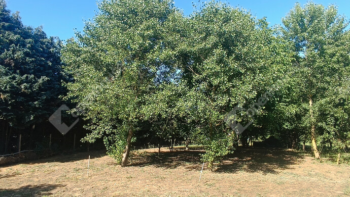 11. kép | Eladó Családi ház, Somogybabod (#177793)