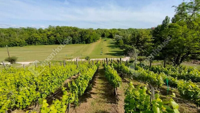 9. kép | Eladó Telek, Kőröshegy (#176631)