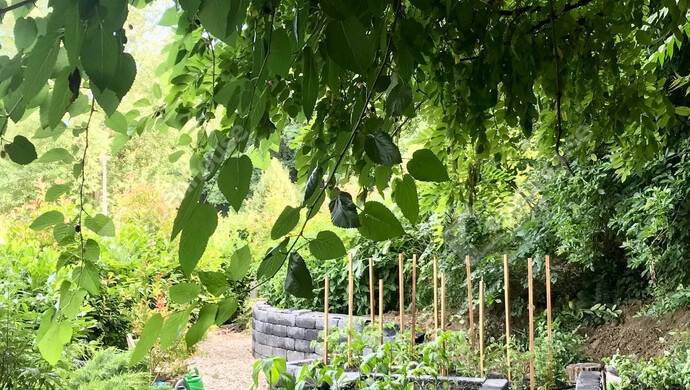 21. kép | Eladó Családi ház, Balatonföldvár (#179219)