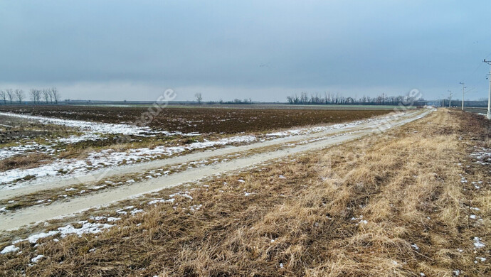 2. kép | Eladó Mezőgazdasági, Pereszteg (#179568)