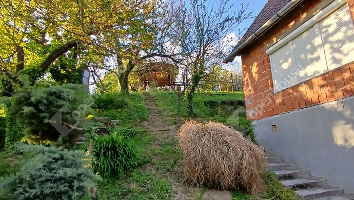 22. kép | Eladó Zárt kert, Zalaegerszeg (#181316)