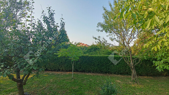 21. kép | Eladó Családi ház, Marcali (#177837)