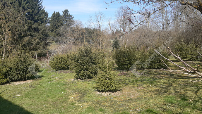 39. kép | Eladó Családi ház, Nagykanizsa (#180380)